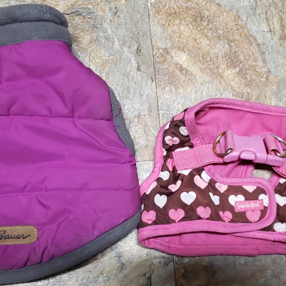 Dog jacket and harness